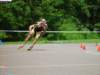 dsc04439_small.jpg