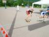 dsc04469_small.jpg